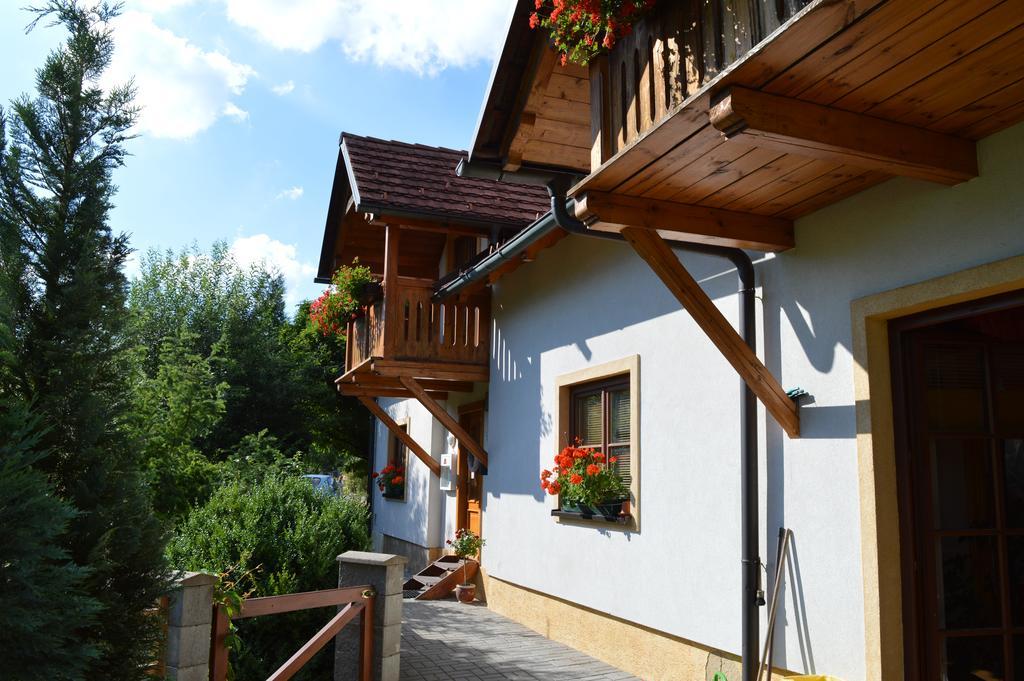 Pension Druhy Domov Nový Bor Buitenkant foto